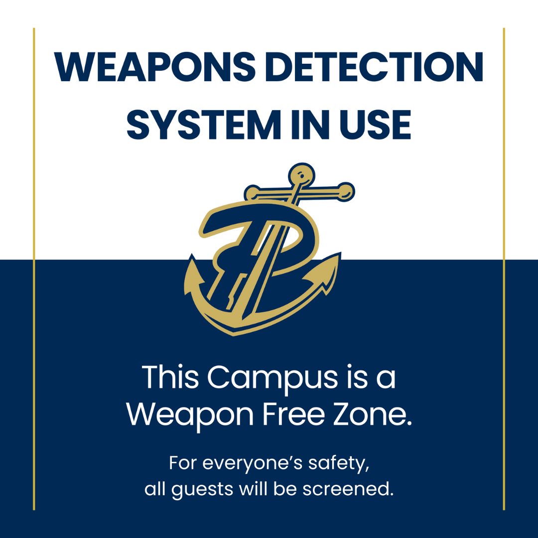  Weapons Detector System